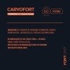 Carvofort + Piridoxina + Carvão Ativado 500mg 60 cápsulas Fortlife