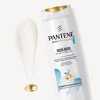 Shampoo Pantene Equilíbrio Raiz e Pontas Purificante 510ml