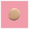 Corretivo Líquido Niina Secrets Perfect Match Cor 10 10ml