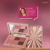 Paleta de Sombras Niina Secrets Shine Rose 5,4g