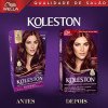 Tinta De Cabelo Koleston N 46 Borgonha