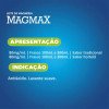 Leite de Magnésia Magmax Tradicional Suspensão Oral 100ml