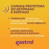 Gastrol 125mg/ml + 50mg/ml + 180mg/ml Suspensão Oral 250ml