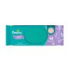 Lenço Umedecido Pampers Aroma de Lavanda 48 unidades
