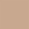 Corretivo Líquido Niina Secrets Perfect Match Cor 05 10ml