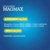 Leite de Magnésia Magmax Sabor Hortelã 300ml
