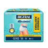Fralda Adulta Bigfral 16Un Movim Eco G/Xg
